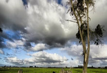 莱顿东方官方：足总杯第三轮对德比郡一战延期至1月14日.