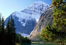 字母哥：我们要保持凝聚力 共同寻找赢球之道.