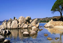 早人物：雄狮归化球员仲村京雅：唱新加坡国歌很开心也有压力.